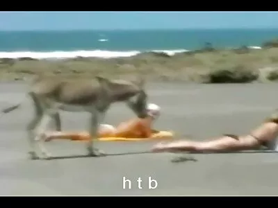 جذاب Coed Cowgirl Cock Ride افلام جنسيه فيديو video Allie James